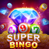 Super Bingo jljl5566 hot game