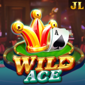 Wild Ace jljl5566 slot